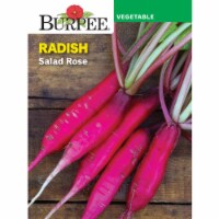 Burpee® Salad Rose Radish Seeds Perspective: Main