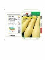 Burpee® Butter Dish Summer Squash Seeds Perspective: Main