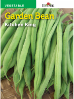 Burpee Tenderpod Bush Snap Bean Seeds - Green Perspective: Main