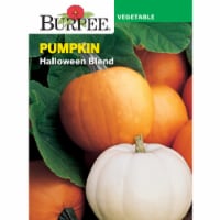 Burpee® Halloween Blend Pumpkin Seeds Perspective: Main