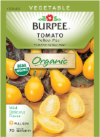 Burpee® Organic Yellow Pear Tomato Seeds Perspective: Main