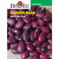 Burpee® International Collection Spanish Mexican Red Garden Bean Seeds Perspective: Main