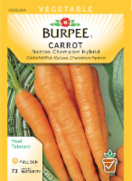 Burpee® Nantes Champion Hybrid Carrot Seeds Perspective: Main