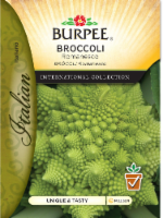 Burpee Romanesco Broccoli Seeds Perspective: Main