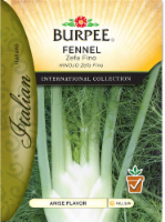 Burpee International Collection Italian Zefa Fino Fennel Seeds Perspective: Main