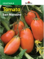Burpee® San Marzano Tomato Seeds Perspective: Main