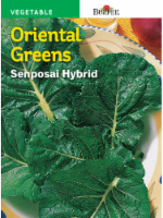 Burpee® Senposai Hybrid Oriental Greens Seeds Perspective: Main