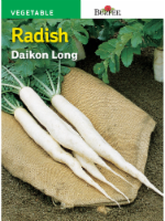 Burpee® Radish Daikon Long Seeds - White Perspective: Main