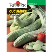 Burpee® Armenian Cucumber Seeds Perspective: Main