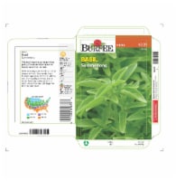 Burpee® Summerlong Basil Herb Seeds - Green Perspective: Main