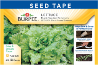 Burpee® Black Seeded Simpson Lettuce Seed Tape Perspective: Main