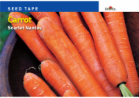 Burpee® Scarlet Nantes Carrot Seed Tape Perspective: Main