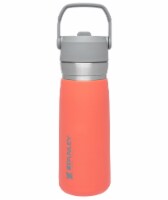 Stanley® Go Flip Straw Water Bottle - Guava Perspective: Main
