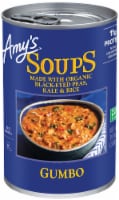 Amy's® Gumbo Perspective: Main