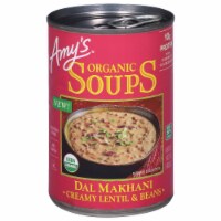 Amy's® Organic Del Makhani Creamy Lentil & Beans Soup Perspective: Main