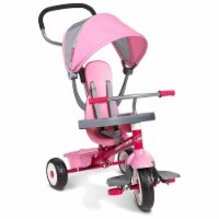 Radio Flyer 481P The 4-in-1 Stroll N Trike