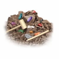 NSI International Smithsonian® Rock & Gem Dig Kit