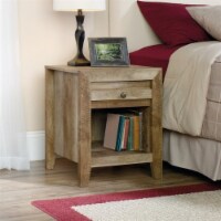 Sauder Dakota Pass Nightstand in Craftsman Oak