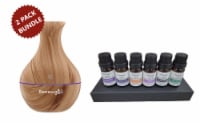 Renewgoo Aroma Bundle: Diffuser Vase Humidifier w/ 6-Pc Essential Oils Set Light