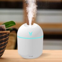 Renewgoo GOO2O Mini Humidifier Cool Mist Air Portable Quiet LED Night Light Whit