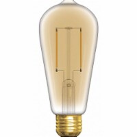 GE LED Light Bulb