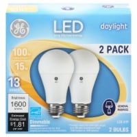 GE 15-Watt LED Daylight Low Energy Light Bulbs Perspective: Main