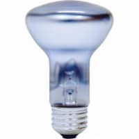 GE Reveal® 45-Watt R20 Indoor Floodlight Bulb Perspective: Main