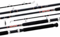 Daiwa Beefstick 9' Surf Rod Perspective: Main