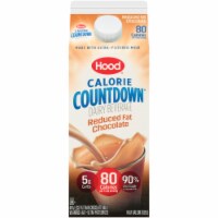 Hood 2% Reduced Fat Chocolate Milk Perspective: Main