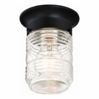 Jelly Jar Indoor/Outdoor Flush Mount Glass Ceiling Light in Black