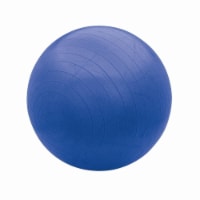 Bollinger® Pro Body Ball - Blue Perspective: Main