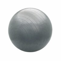 Bollinger® Pro Body Ball - Gray Perspective: Main