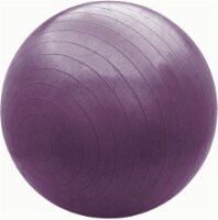 Bollinger® Pro Body Ball - Eggplant Perspective: Main