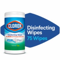 Clorox Fresh Scent Disinfecting Wipes