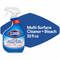 Clorox Clean-Up All Purpose Cleaner Rain Clean with Bleach Spray