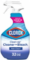 Clorox Clean-Up All Purpose Cleaner with Bleach Rain Clean Perspective: Main
