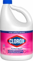 Clorox Fresh Meadow Bleach Perspective: Main