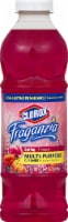 Clorox Fraganzia Spring Multi-Purpose Cleaner Perspective: Main