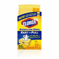 Clorox® Easy to Pull Crisp Lemon Disinfecting Wipes Perspective: Main