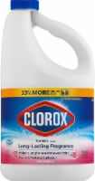 Clorox Fresh Meadow Scented Bleach Perspective: Main
