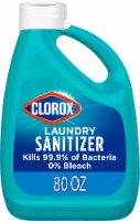 Clorox Laundry Sanitizer Perspective: Main