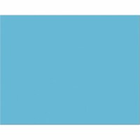 Pacon Corporation Peacock Light Blue 25Ct 4 Ply 22X28 Poster Board