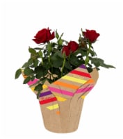 4 in Mini Thank You Rose Perspective: Main