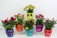 Dia De Los Muertos Sugar A Skull Blooming 4 in Perspective: Main
