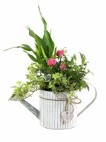 Garden Party Watering Can Perspective: Main