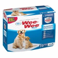 Four Paws Wee-Wee Quilted Housebreaking Pads Perspective: Main