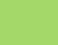 Hillman Blank Plastic Signs - Green Perspective: Main