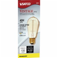 Satco 40W Clear Medium ST19 Incandescent Vintage Light Bulb S2413