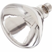 Satco 250W Clear Medium Base R40 Incandescent Heat Light Bulb S4999