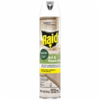 Raid® Ant and Roach Killer Perspective: Main